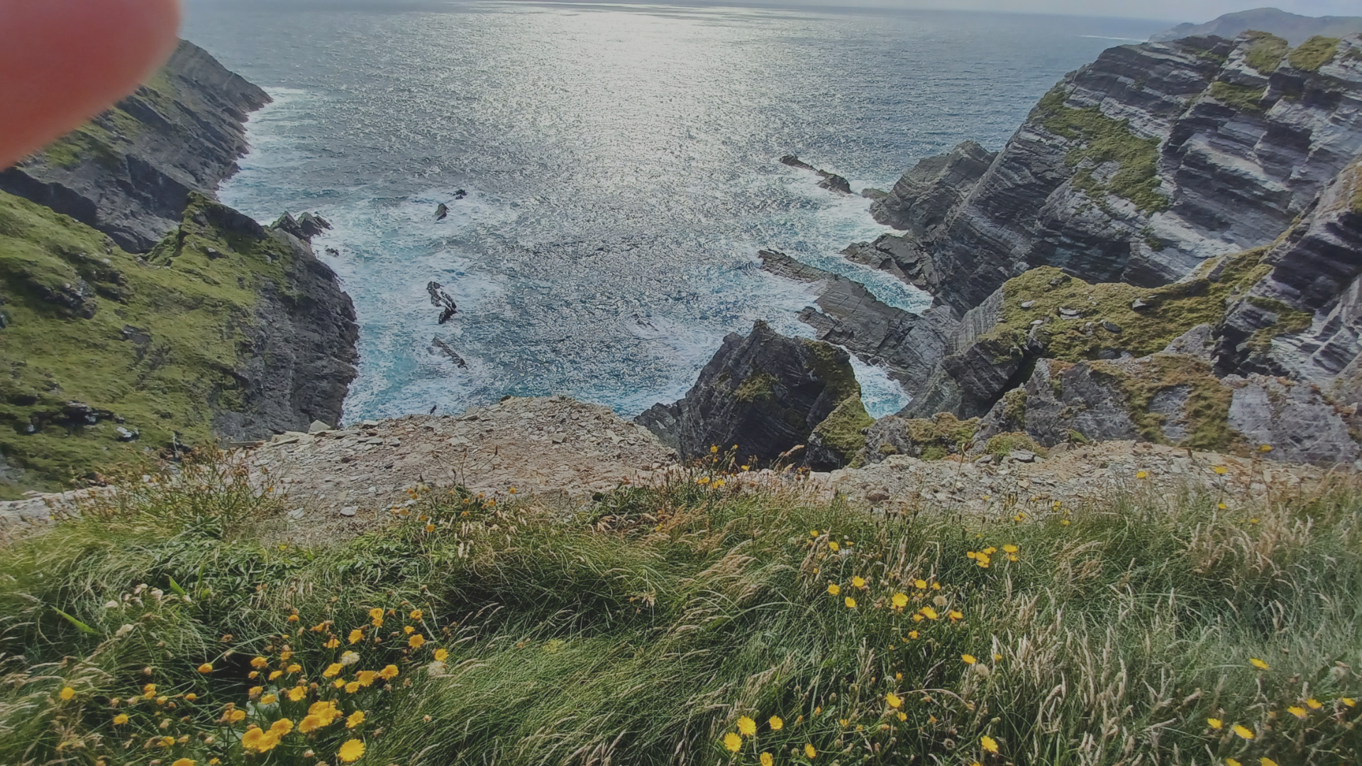 An image of grass with small flowers looking over a rocky beach